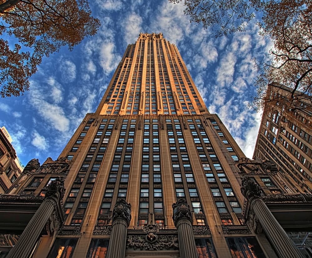 Business tax expert consulting with a client